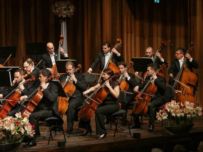 Die tiefen Streicher eines Orchesters während eines Konzerts