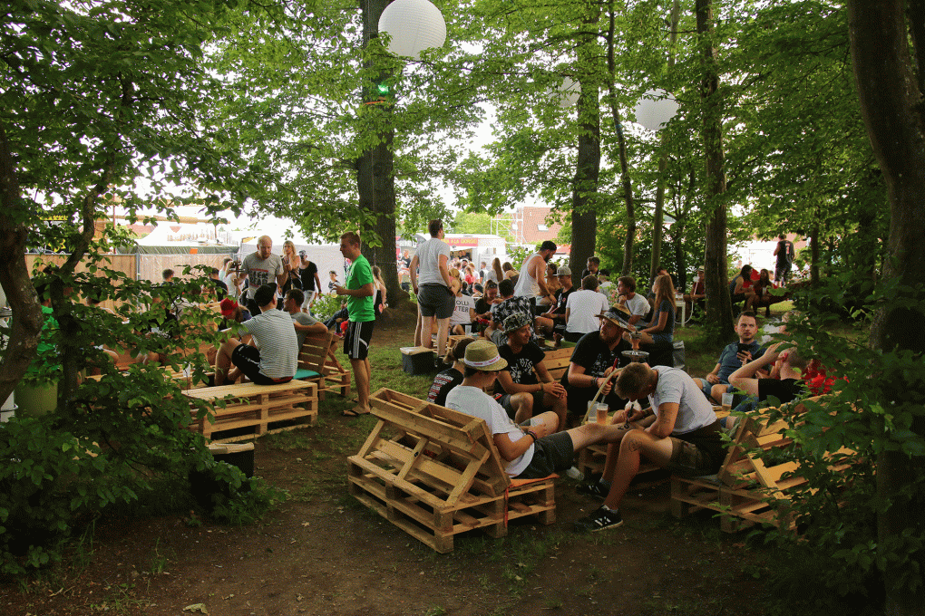 Shishawald auf dem Festivalgelände