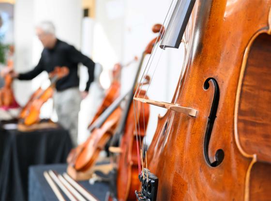 Abbildung: Instrumente und Beratung